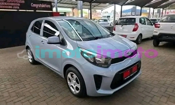 Buy Used Kia Picanto Other Car in Carltonville in Gauteng Buy Used Kia Picanto Other Car in Carltonville in Gauteng