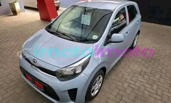 Buy Used Kia Picanto Other Car in Carltonville in Gauteng Buy Used Kia Picanto Other Car in Carltonville in Gauteng