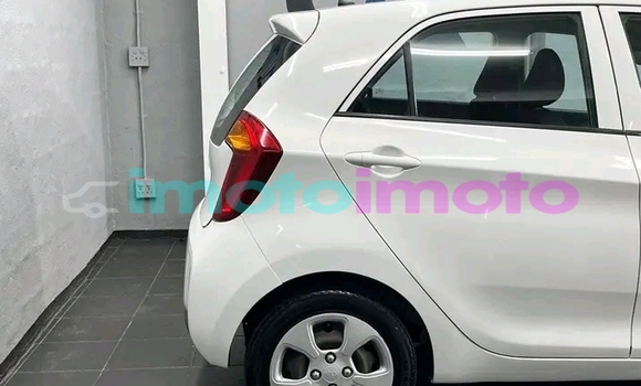 Buy Used Kia Picanto White Car in Dendron in Limpopo Buy Used Kia Picanto White Car in Dendron in Limpopo