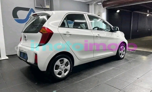 Buy Used Kia Picanto White Car in Dendron in Limpopo Buy Used Kia Picanto White Car in Dendron in Limpopo