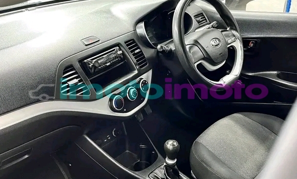 Buy Used Kia Picanto White Car in Dendron in Limpopo Buy Used Kia Picanto White Car in Dendron in Limpopo