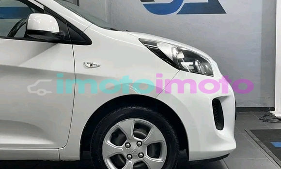Buy Used Kia Picanto White Car in Dendron in Limpopo Buy Used Kia Picanto White Car in Dendron in Limpopo