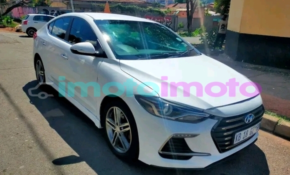 Buy Used Hyundai Elantra White Car in Boksburg in Gauteng Buy Used Hyundai Elantra White Car in Boksburg in Gauteng