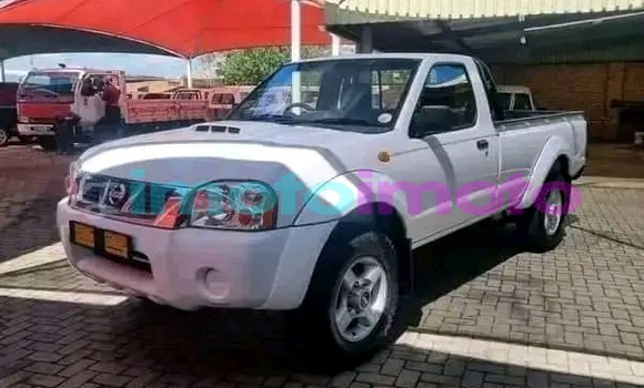 Buy Used Nissan NP 300 White Car in Boksburg in Gauteng Buy Used Nissan NP 300 White Car in Boksburg in Gauteng