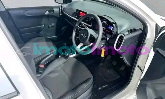 Buy Used Kia Picanto White Car in Benmore in Gauteng Buy Used Kia Picanto White Car in Benmore in Gauteng