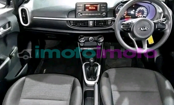 Buy Used Kia Picanto White Car in Benmore in Gauteng Buy Used Kia Picanto White Car in Benmore in Gauteng