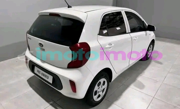 Buy Used Kia Picanto White Car in Benmore in Gauteng Buy Used Kia Picanto White Car in Benmore in Gauteng