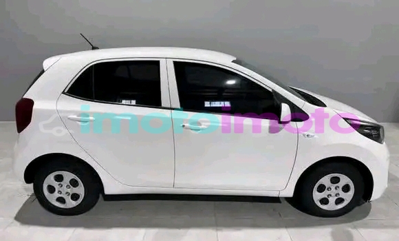 Buy Used Kia Picanto White Car in Benmore in Gauteng Buy Used Kia Picanto White Car in Benmore in Gauteng