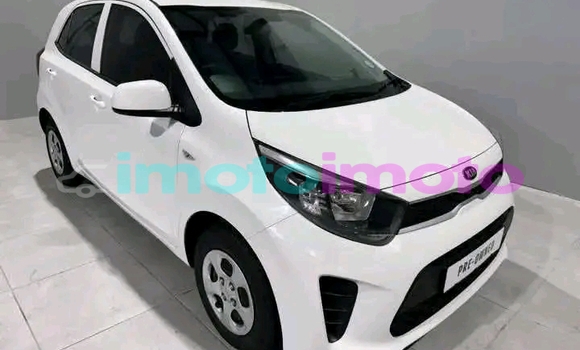 Buy Used Kia Picanto White Car in Benmore in Gauteng Buy Used Kia Picanto White Car in Benmore in Gauteng
