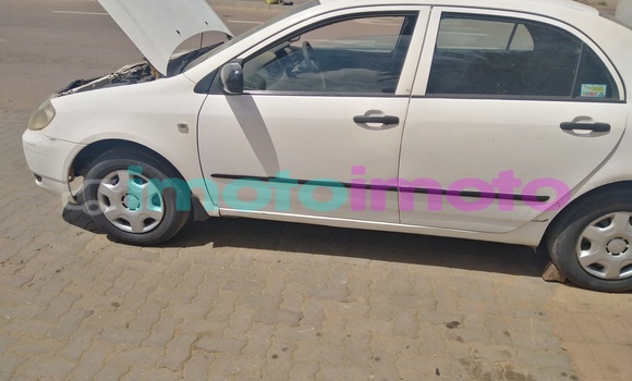 Buy Used Toyota Corolla White Car in Pretoria in Gauteng Buy Used Toyota Corolla White Car in Pretoria in Gauteng