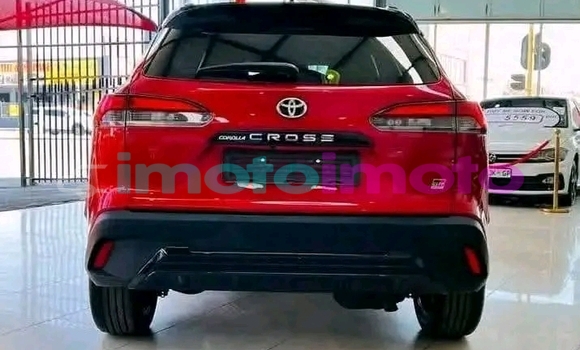 Buy Used Toyota Corolla Red Car in Giyani in Limpopo Buy Used Toyota Corolla Red Car in Giyani in Limpopo