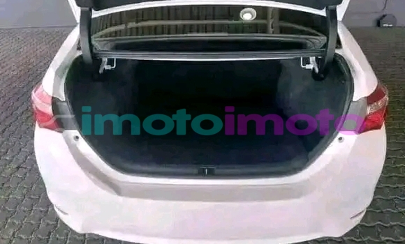 Buy Used Toyota Corolla White Car in Boksburg in Gauteng Buy Used Toyota Corolla White Car in Boksburg in Gauteng