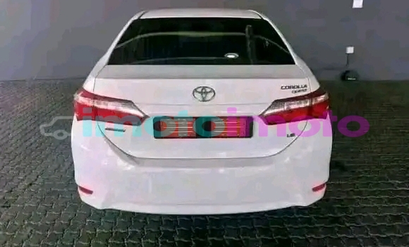 Buy Used Toyota Corolla White Car in Boksburg in Gauteng Buy Used Toyota Corolla White Car in Boksburg in Gauteng
