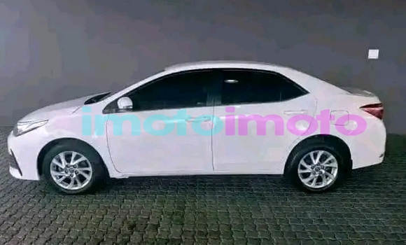 Buy Used Toyota Corolla White Car in Boksburg in Gauteng Buy Used Toyota Corolla White Car in Boksburg in Gauteng