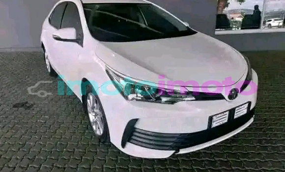 Buy Used Toyota Corolla White Car in Boksburg in Gauteng Buy Used Toyota Corolla White Car in Boksburg in Gauteng