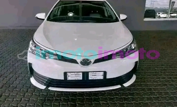 Buy Used Toyota Corolla White Car in Boksburg in Gauteng Buy Used Toyota Corolla White Car in Boksburg in Gauteng