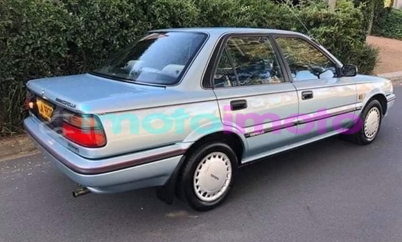 Buy Used Toyota Corolla Other Car in Pretoria in Gauteng Buy Used Toyota Corolla Other Car in Pretoria in Gauteng