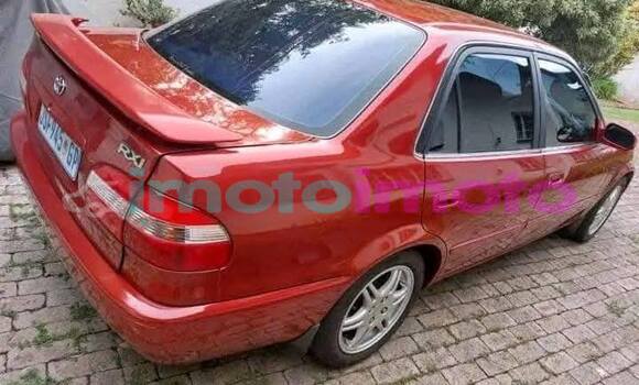 Buy Used Toyota Corolla Red Car in Johannesburg in Gauteng Buy Used Toyota Corolla Red Car in Johannesburg in Gauteng