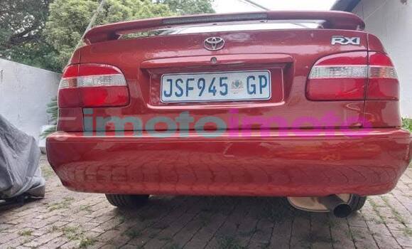 Buy Used Toyota Corolla Red Car in Johannesburg in Gauteng Buy Used Toyota Corolla Red Car in Johannesburg in Gauteng