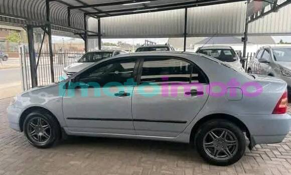 Buy Used Toyota Corolla Other Car in Johannesburg in Gauteng Buy Used Toyota Corolla Other Car in Johannesburg in Gauteng