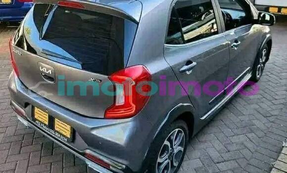 Buy Used Kia Picanto Other Car in Johannesburg in Gauteng Buy Used Kia Picanto Other Car in Johannesburg in Gauteng