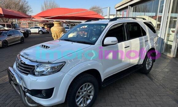 オールド101 Buy Onitsuka Tiger ULTIMATE 81 EX Color Block Low Top