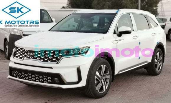 Buy Import Kia Sorento White Car in Import - Dubai in Gauteng