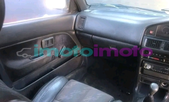 Buy Used Audi A6 Red Car in eLukwatini in Mpumalanga Buy Used Audi A6 Red Car in eLukwatini in Mpumalanga