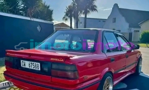 Buy Used Audi A6 Red Car in eLukwatini in Mpumalanga Buy Used Audi A6 Red Car in eLukwatini in Mpumalanga