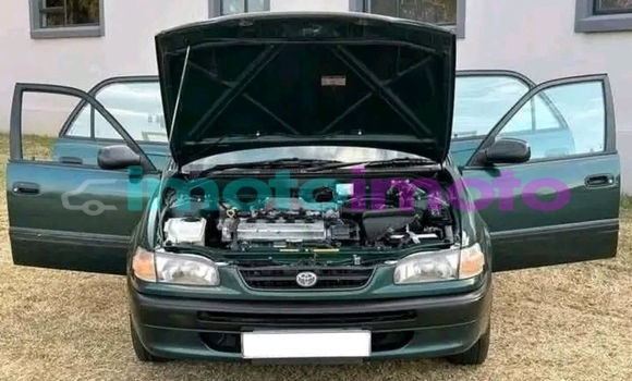 Buy Used Toyota Corolla Other Car in Benoni in Gauteng Buy Used Toyota Corolla Other Car in Benoni in Gauteng