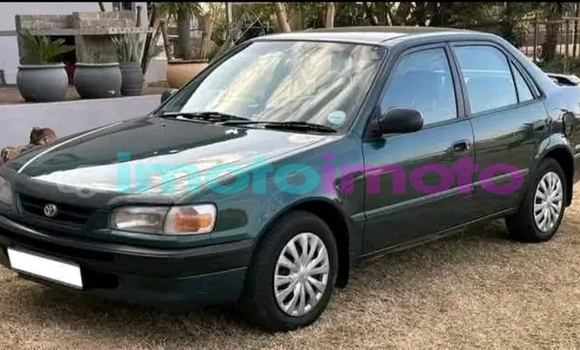 Buy Used Toyota Corolla Other Car in Benoni in Gauteng Buy Used Toyota Corolla Other Car in Benoni in Gauteng