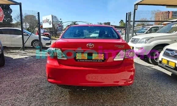 Buy Used Toyota Corolla Red Car in Boksburg in Gauteng Buy Used Toyota Corolla Red Car in Boksburg in Gauteng
