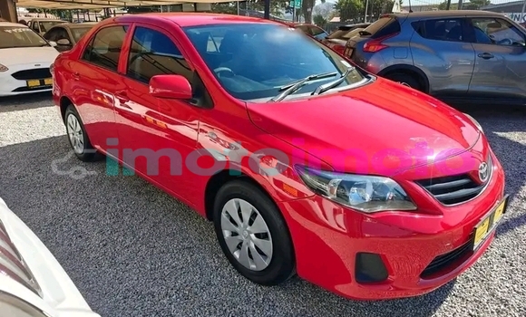 Buy Used Toyota Corolla Red Car in Boksburg in Gauteng Buy Used Toyota Corolla Red Car in Boksburg in Gauteng