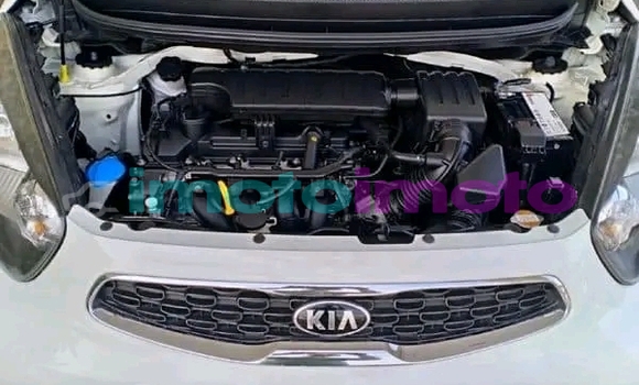 Buy Used Kia Rio White Car in Boksburg in Gauteng Buy Used Kia Rio White Car in Boksburg in Gauteng