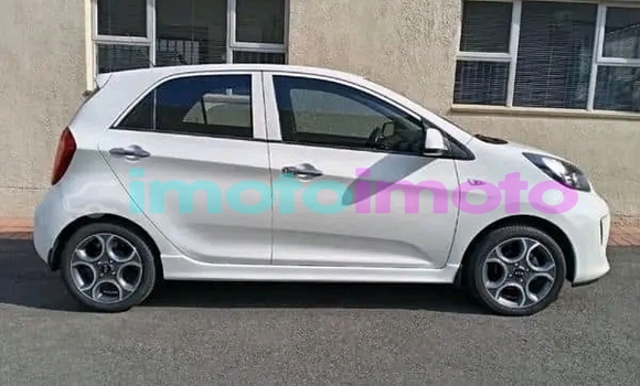 Buy Used Kia Rio White Car in Boksburg in Gauteng Buy Used Kia Rio White Car in Boksburg in Gauteng