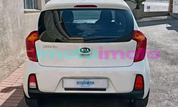 Buy Used Kia Rio White Car in Boksburg in Gauteng Buy Used Kia Rio White Car in Boksburg in Gauteng