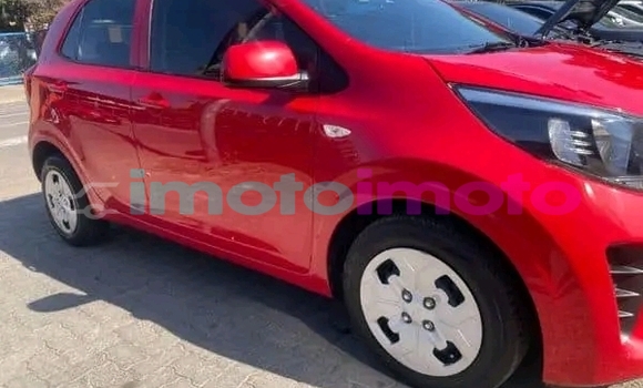 Buy Used Kia Picanto Red Car in Boksburg in Gauteng Buy Used Kia Picanto Red Car in Boksburg in Gauteng