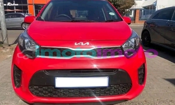 Buy Used Kia Picanto Red Car in Boksburg in Gauteng Buy Used Kia Picanto Red Car in Boksburg in Gauteng