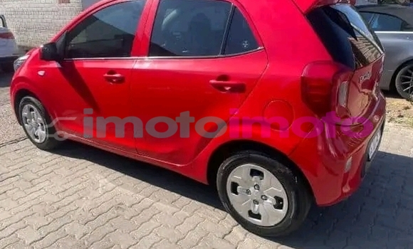 Buy Used Kia Picanto Red Car in Boksburg in Gauteng Buy Used Kia Picanto Red Car in Boksburg in Gauteng