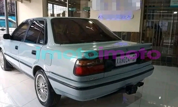 Buy Used Toyota Corolla Other Car in Boksburg in Gauteng Buy Used Toyota Corolla Other Car in Boksburg in Gauteng