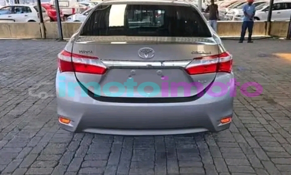 Buy Used Toyota Corolla Other Car in Boksburg in Gauteng Buy Used Toyota Corolla Other Car in Boksburg in Gauteng