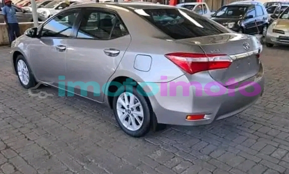 Buy Used Toyota Corolla Other Car in Boksburg in Gauteng Buy Used Toyota Corolla Other Car in Boksburg in Gauteng