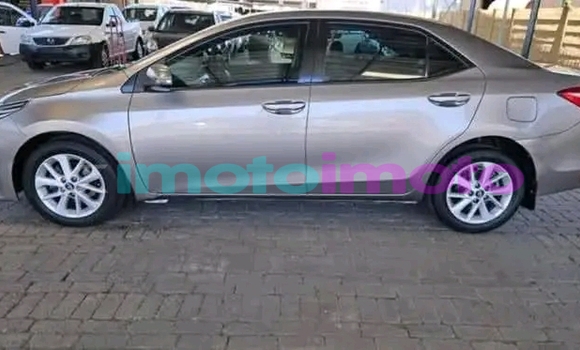 Buy Used Toyota Corolla Other Car in Boksburg in Gauteng Buy Used Toyota Corolla Other Car in Boksburg in Gauteng
