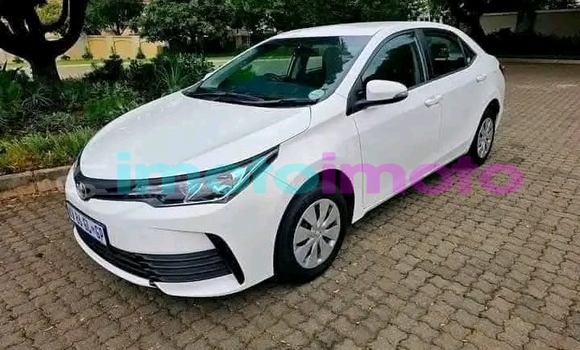 Buy Used Toyota Corolla White Car in Benoni in Gauteng Buy Used Toyota Corolla White Car in Benoni in Gauteng