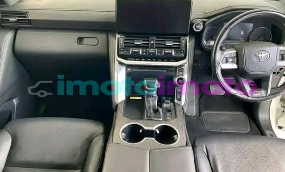 Buy Used Toyota Land Cruiser White Car in Brakpan in Gauteng Buy Used Toyota Land Cruiser White Car in Brakpan in Gauteng