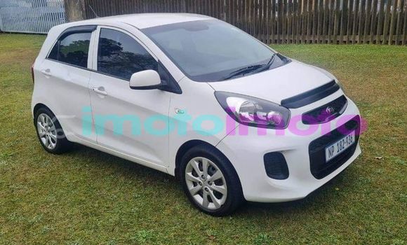 Buy Used Kia Picanto White Car in Alberton in Gauteng Buy Used Kia Picanto White Car in Alberton in Gauteng