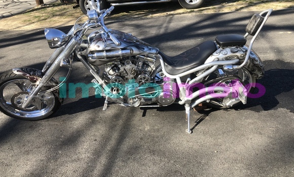 Buy Used Big Bear Choppers Bear Bones Silver Bike in Bronkhorstspruit in Gauteng Buy Used Big Bear Choppers Bear Bones Silver Bike in Bronkhorstspruit in Gauteng